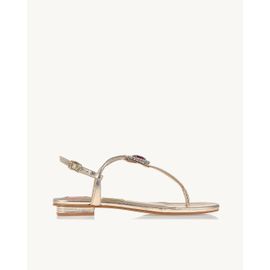 Flat Metalizado Ouro Light