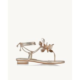 Flat Metalizado Ouro Light