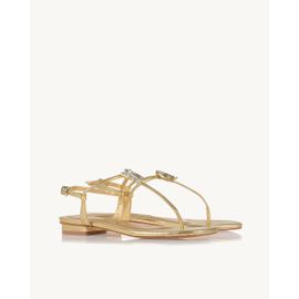 Flat Metalizado Gold