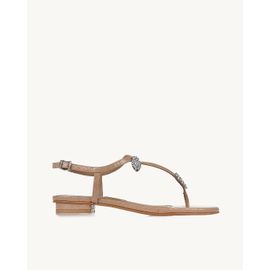 Flat Snake Nude