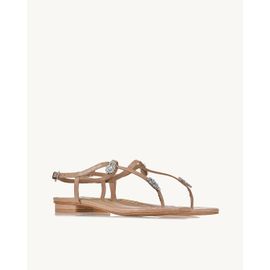 Flat Snake Nude