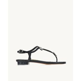 Flat Snake Preta
