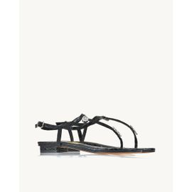 Flat Snake Preta