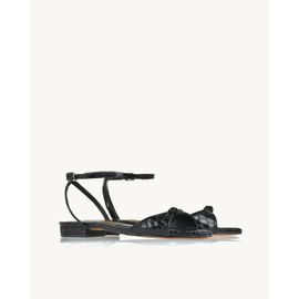 Flat Snake Preta