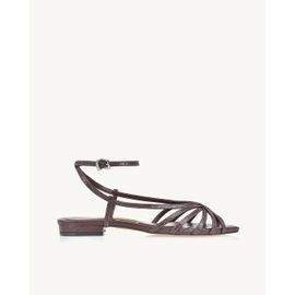 Flat Piton Plum